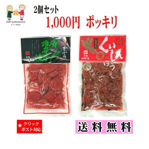 【1000円ポッキリ 送料無料】赤かぶら青唐辛子漬&くいしんぼう 送料無料 1000円ポッキリ 2個セット クリックポスト対象 赤かぶら 飛騨 山味屋