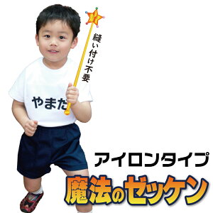 ŒZ 1cm݂ŎRȃTCYō [bP AC\t^Cv 1 O [bPvg emFt ] V[ O   lC 10cm 15cm  ̑ z ct