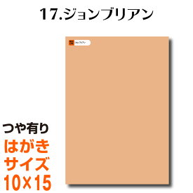 全116色 カッティング用シート はがきサイズ 17.ジョンブリアン （つや有り） ベージュ ヌードカラー 肌色 屋外 表札 切文字 うちわ 文字 車 外装 ステッカー 壁紙 リメイクシート カッティングシート ラッピングシート 自作 キッチン 防水 光沢