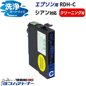 【洗浄液】RDH(リコーダー) エプソン(epson) シアン洗浄クリーニングカートリッジ 内容：RDH-C-CL 対応機種：PX-048A PX-049A