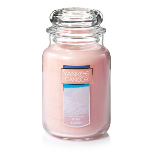 YANKEE CANDLE L[Lh A}Lh W[L LTCY x_[ N[Rbg ~bhT}[YiCg ~bhiCgWX~ sNTh r[`EH[N ub