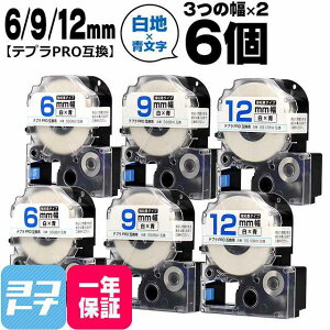 �e�v��PRO�p�݊� �L���O�W���Ή� �݊��e�[�v ���S�� ��/���� 6mm/9mm/12mm(�e�[�v��)3��×2�Z�b�g �v6�� SS6BW SS9BW SS12BW