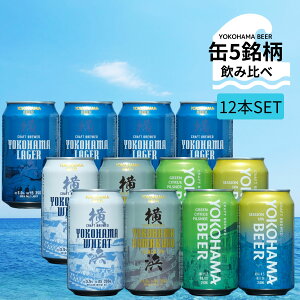 l̃Ntgr[ ʃr[ 5 ݔ׃Zbg 350ml () ݔ׃Zbg Ntgr[ MtgZbg lߍ킹 Ntg r[ Mtg v[g l yY nr[ lr[