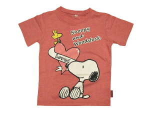 Xk[s[TVc(100)(110)(120)