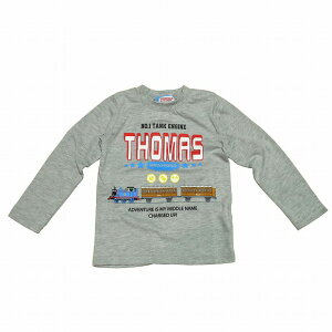 ݌1@@֎ԃg[}XTVc(120)