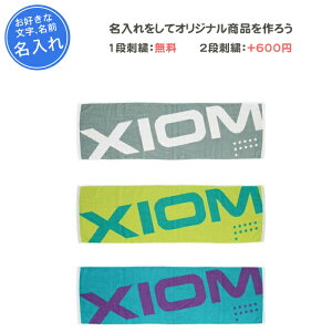 【名入れ1段付き】 スポーツタオル タオル エクシオン 卒団 記念品 部活 卓球 刺繍 スポーツ 名入れ 名前入れ 文字 卒業 卒業記念品 卒部記念品 卒業祝い プレゼント 青 グレー ブルー ライジ