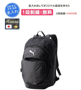 hJ1i v[} TEAMFINAL obNpbN bN 45bg TbJ[ K  ʊw LOi c(090734)