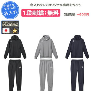 【名入れ1段付き】 デサント ムーブスポーツ スウェット 上下 メンズ レディース 名入れ 名前入れ 文字 長袖 練習着 大人 ブラック ネイビー グレー MOVESPORT DESCENTE フード パーカー パーカ フ