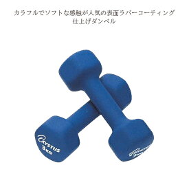 ダンベル　筋トレ　スポーツ　野球　トレーニング　グッズ　器具　ラバーコートダンベル3kg(h9065)