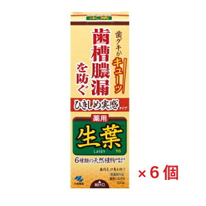 (6{ZbgjЂߐt 100g[ѐ t a]