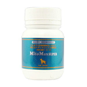 }Cg}bNX@X[p[@^E^p60JvZ