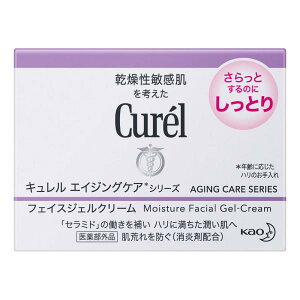 ԉ L GCWOPAV[Y tFCXWFN[ 40G i򕔊Oij