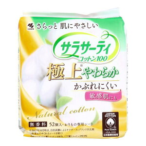 ѐ TT[eBRbg100 ɏ炩(52Rj