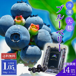 �y���������z�嗱�I�Ⓚ�u���[�x���[ 1.05kg�i350g×3�p�b�N�j�J�i�_�Y�嗱 �u���[�x���[ �Ⓚ 350�O���� �J�i�_ �V���b�v�`�����l�� ���i�� ���� ���� ���� �M�t�g ���蕨 �v���[���g