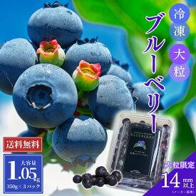 大粒！冷凍ブルーベリー 1.05kg（350g×3パック）カナダ産【送料無料】大粒 ブルーベリー 冷凍 350グラム カナダ ショップチャンネル 高品質 高級 腸活 毎朝 ギフト 贈り物 プレゼント 人気商品 母の日