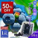 〈スーパーSALE☆半額〉大粒！冷凍ブルーベリー 1.05kg（350g×3パック）カナダ産【送料無料】大粒 ブルーベリー 冷凍…
