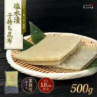 天然・塩水漬子持ち昆布 No.1 500g（子持ち昆布500g＋塩水）【送料無料】厚み1.6cm以上ある子持ち昆布を…