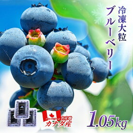大粒！冷凍ブルーベリー 1.05kg（350g×3パック）カナダ産売れてます！大粒冷凍ブルーベリー！採れて24時間以内に瞬間冷凍し生鮮ブルーベリーの食感を目指しました。甘さと酸味のバランスが良いデューク種よりハリのある大粒な果実を厳選しました