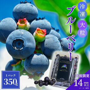 嗱IⓀu[x[ 350g Ji_Y嗱 u[x[ Ⓚ 350O Ji_ Ji_Y Vbv`l i    Mtg 蕨 v[g