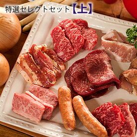 楽天市場 バーベキューセット 精肉 肉加工品 食品 の通販 楽天市場 バーベキューセット 精肉 肉加工品 食品 の通販