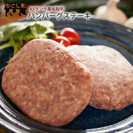 楽天市場 ハンバーグ 激安 送料無料の通販