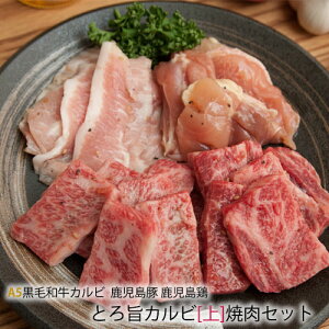 1y A5N јa zƂ| Jr + Y  ؓ wx ēZbg [4`5lO:1kg]s  t@itjϔ@y Y a z o[xL[ Zbg N 䒆 Ε j 