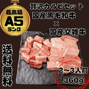 y2퐷z XCēZbg350gi2l`3ljtI Yјa A5 A4 Y ē Jr Ԑg ɏJr ~ Mtg o[xL[ BBQ  a p ō