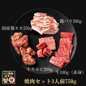 yY̌b݂MɋÏkzƂ܂̓؁Ak{ґēZbg `750gŊyރv~Aȏē̌`Jr  ؃o {  ؓ { BBQ  a l