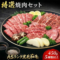 特選焼肉セット 450g 5種以上食べ比べ【特製生だれ付】選べるカルビ＋牛タン/カルビ＋カルビ　人気部位3…