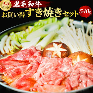 јa A5 ĂZbg 540g 3`4lO ؕt t  yϔz① Y  a ĂMtg  Ă ₫ a v[g 蕨 hV̓ 