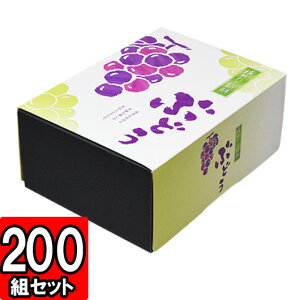 y[J[iɂsẑꂽĂԂǂ 210×147×90mm