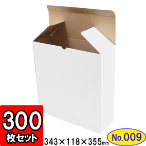   _{[ L(No.009) 343×118×355mm