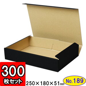 _{[ N(No.189) 247×170×48mm