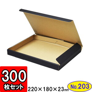 _{[ N(No.203) 217×170×20mm