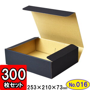 _{[ N(No.016) 250×200×70mm