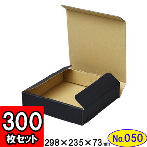 _{[ N(No.050) 295×225×70mm