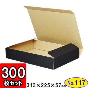 _{[ N(No.117) 310×215×54mm