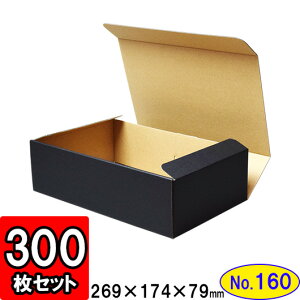 _{[ N(No.160) 266×164×76mm