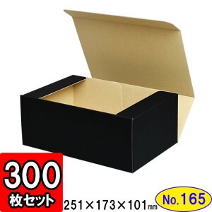 _{[ N(No.165) 248×163×98mm