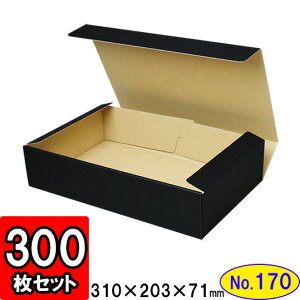 _{[ N(No.170) 307×193×68mm