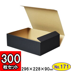 _{[ N(No.171) 293×218×87mm
