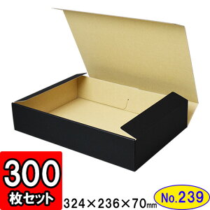 _{[ N(No.239) 321×226×67mm