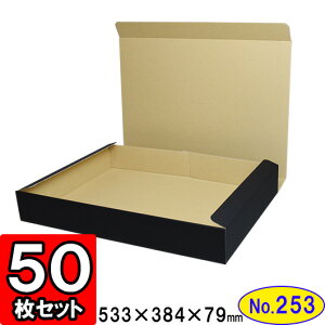 _{[ N(No.253) y[3cƓz 530×374×76mm