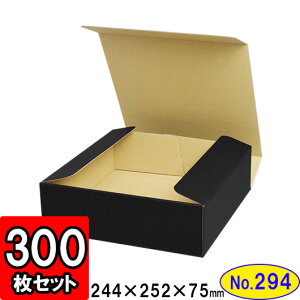 _{[ N(No.294) 241×242×72mm