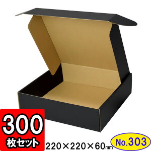 _{[ N(No.303)yʉt^Cvz 220×220×60mm