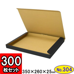 _{[ N(No.304) 350×260×25mm
