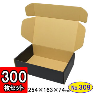 _{[ N(No.309)yʉt^Cvz 254×163×74mm