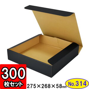 _{[ N(No.314) 275×268×58mm