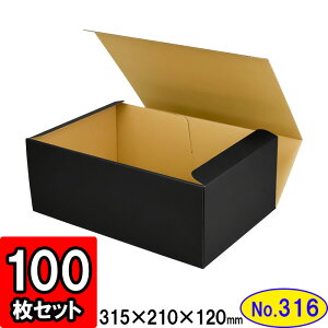 _{[ N(No.316) 315×210×120mm