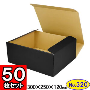 _{[ N(No.320) 300×250×120mm